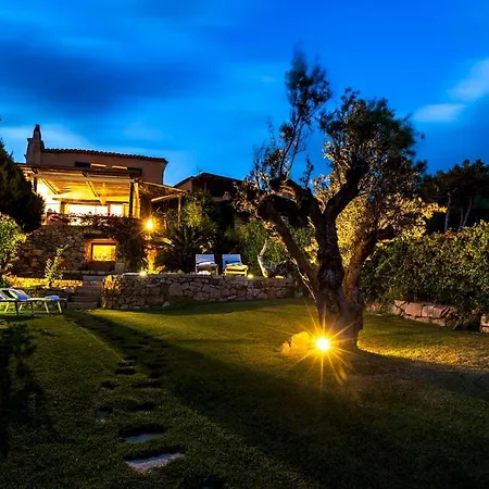 Zeus 6 Porto Cervo
